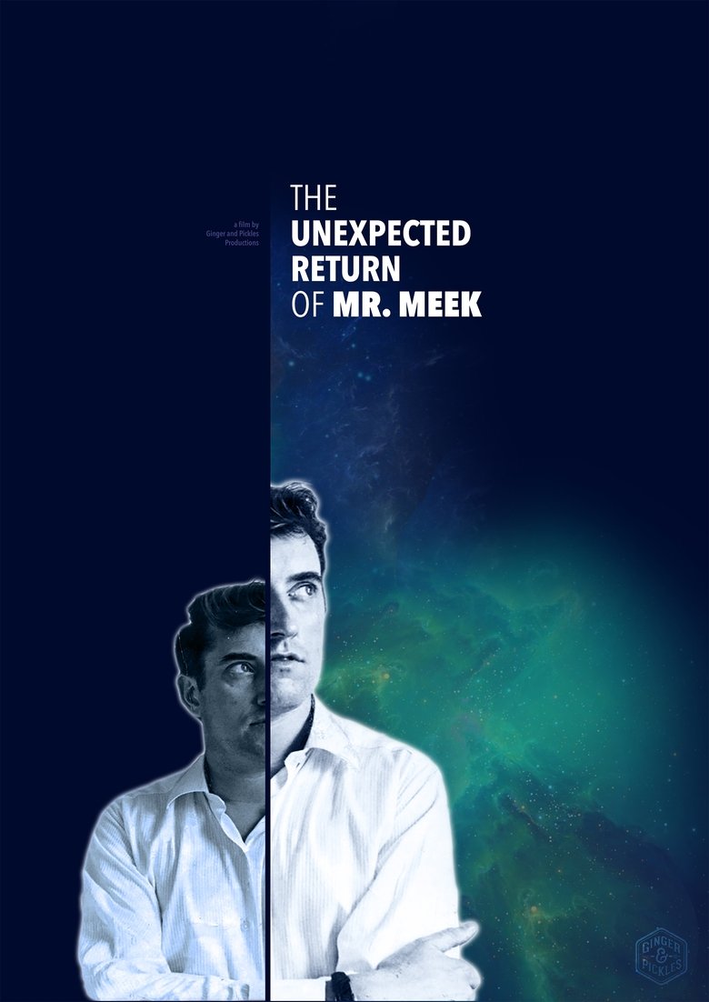 Poster of The Unexpected Return of Mr Meek