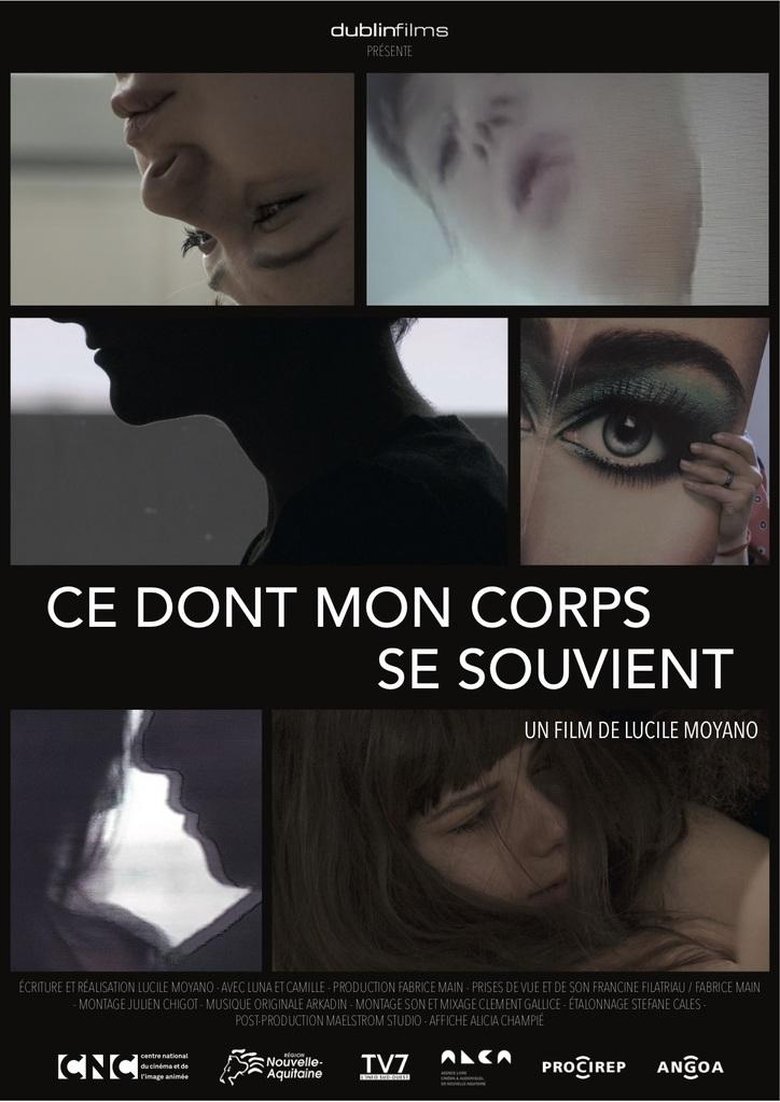 Poster of What my body remembers