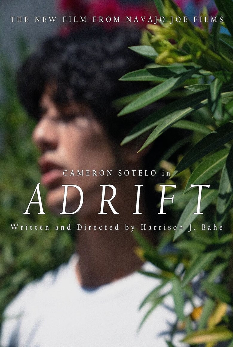 Poster of ADRIFT