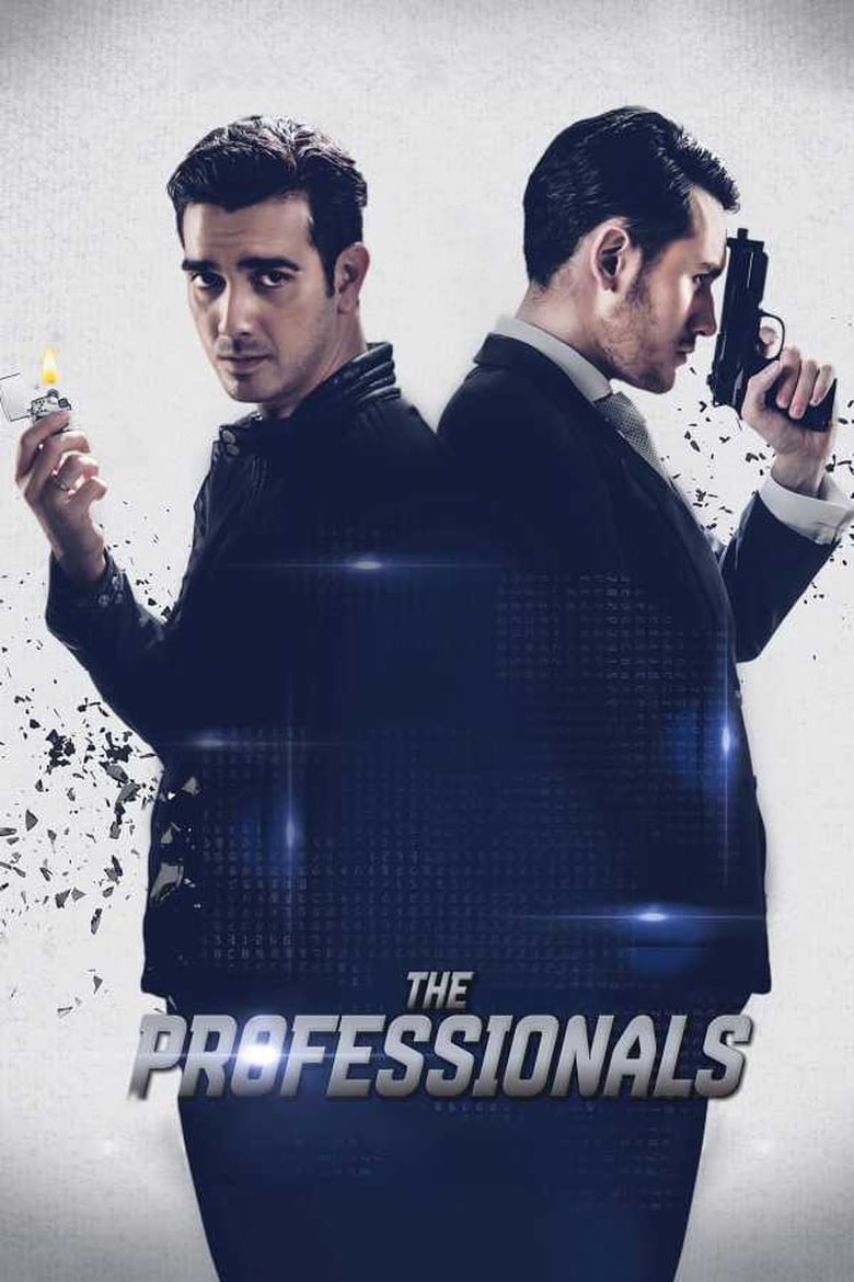 Poster of The Professionals