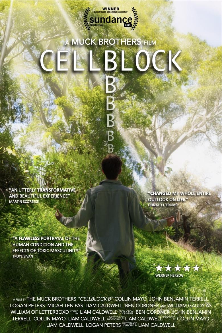 Poster of CellBlock B