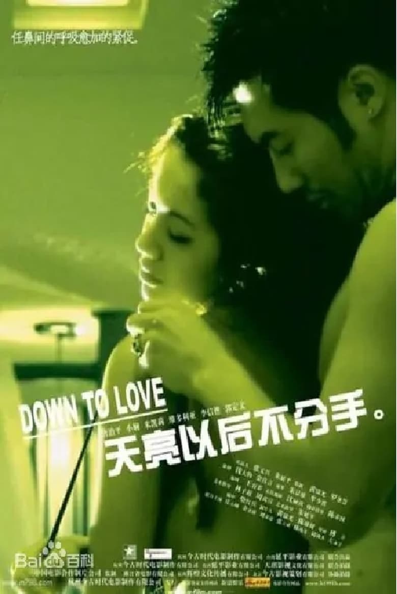 Poster of Down to Love