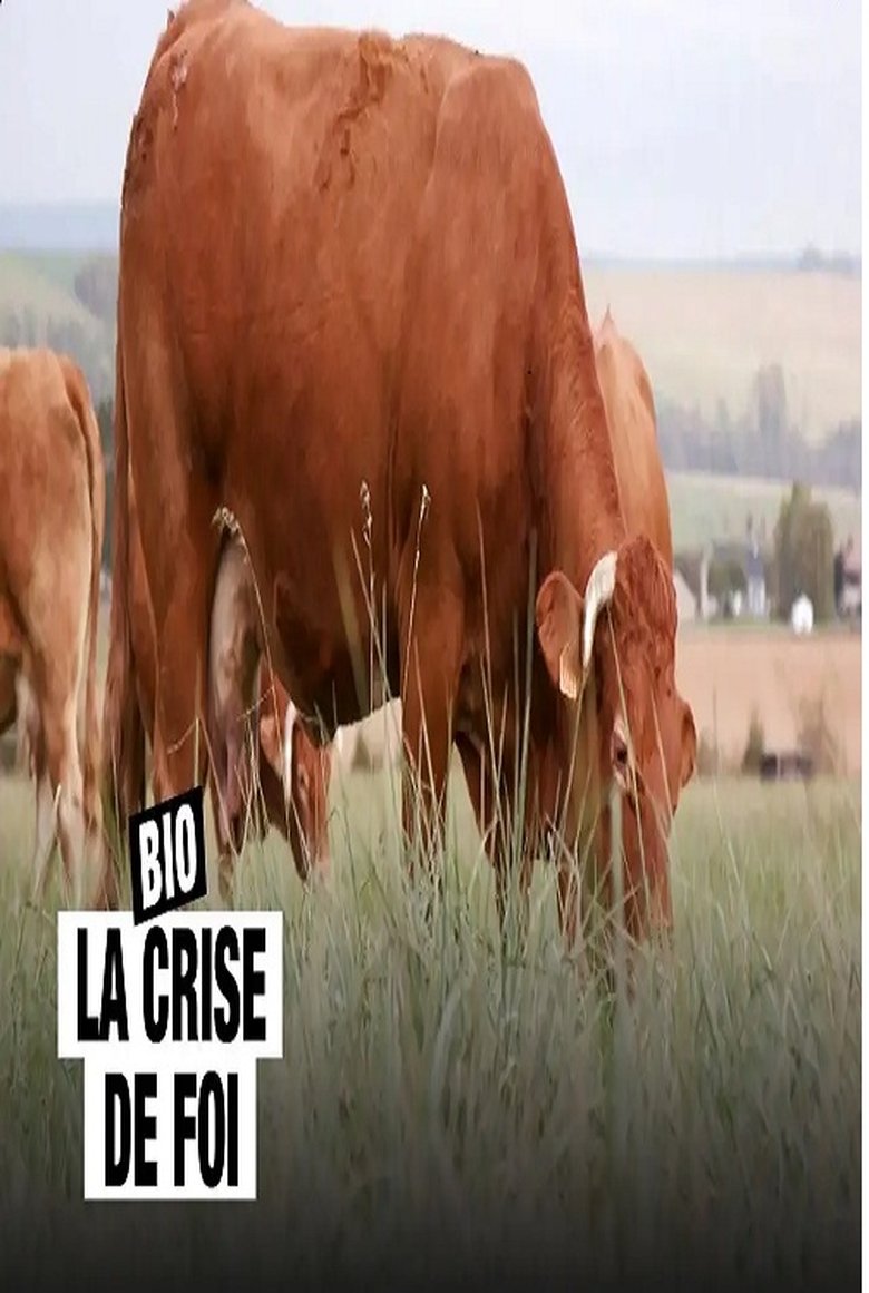 Poster of Bio, la crise de foi