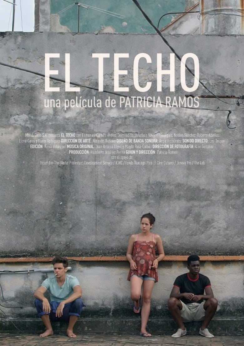 Poster of El techo