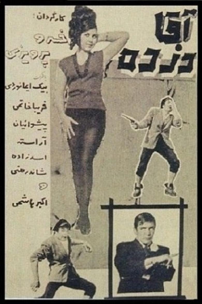 Poster of Mr. Thief