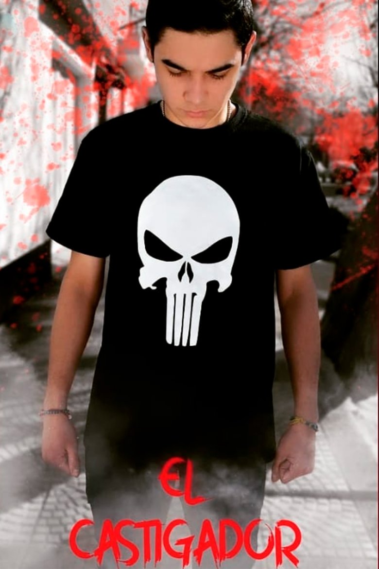 Poster of The Punisher