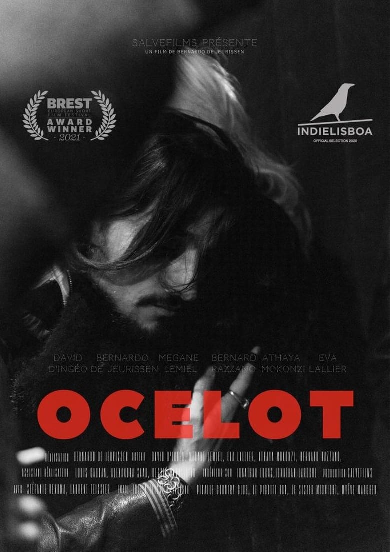 Poster of Ocelot