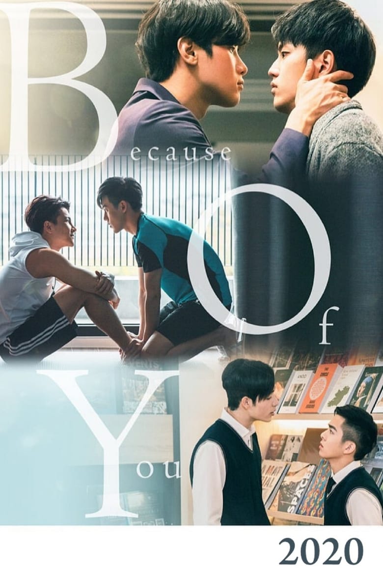 Poster of Because of You