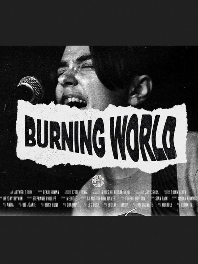 Poster of Burning World