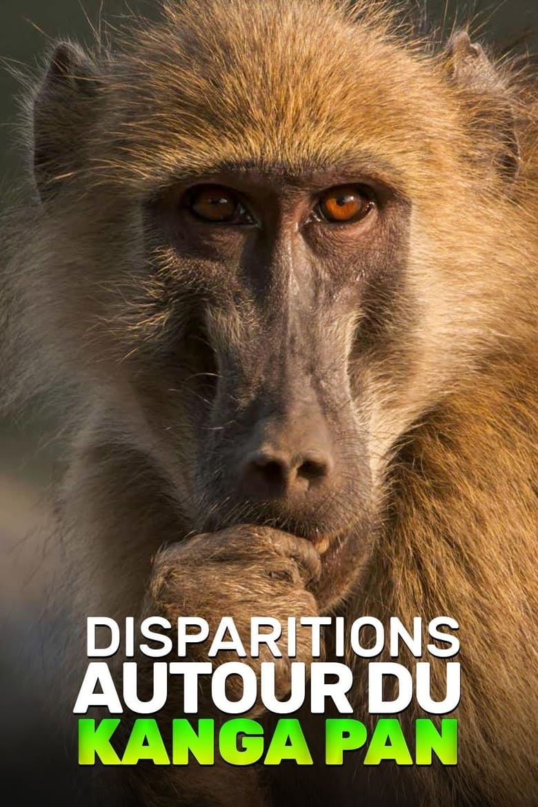 Poster of Disparitions autour du Kanga Pan