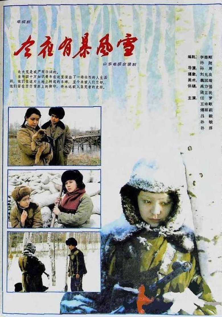 Poster of 今夜有暴风雪
