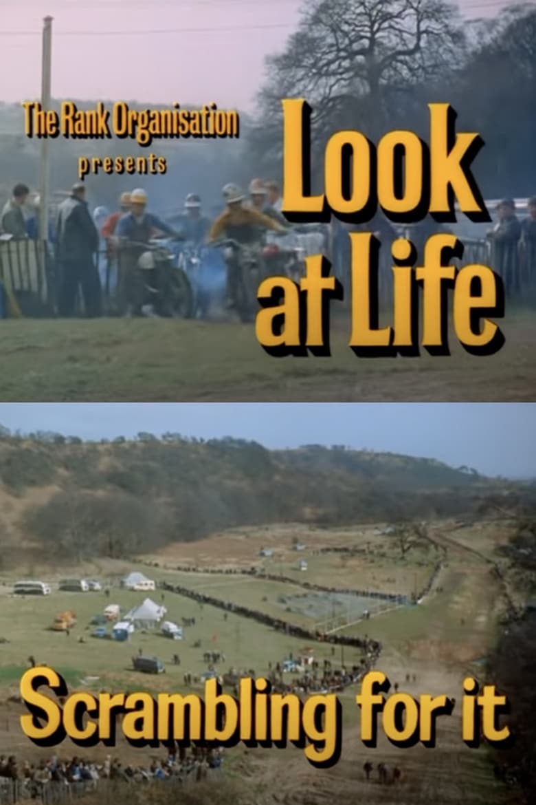 Poster of Look at Life: Scrambling for It