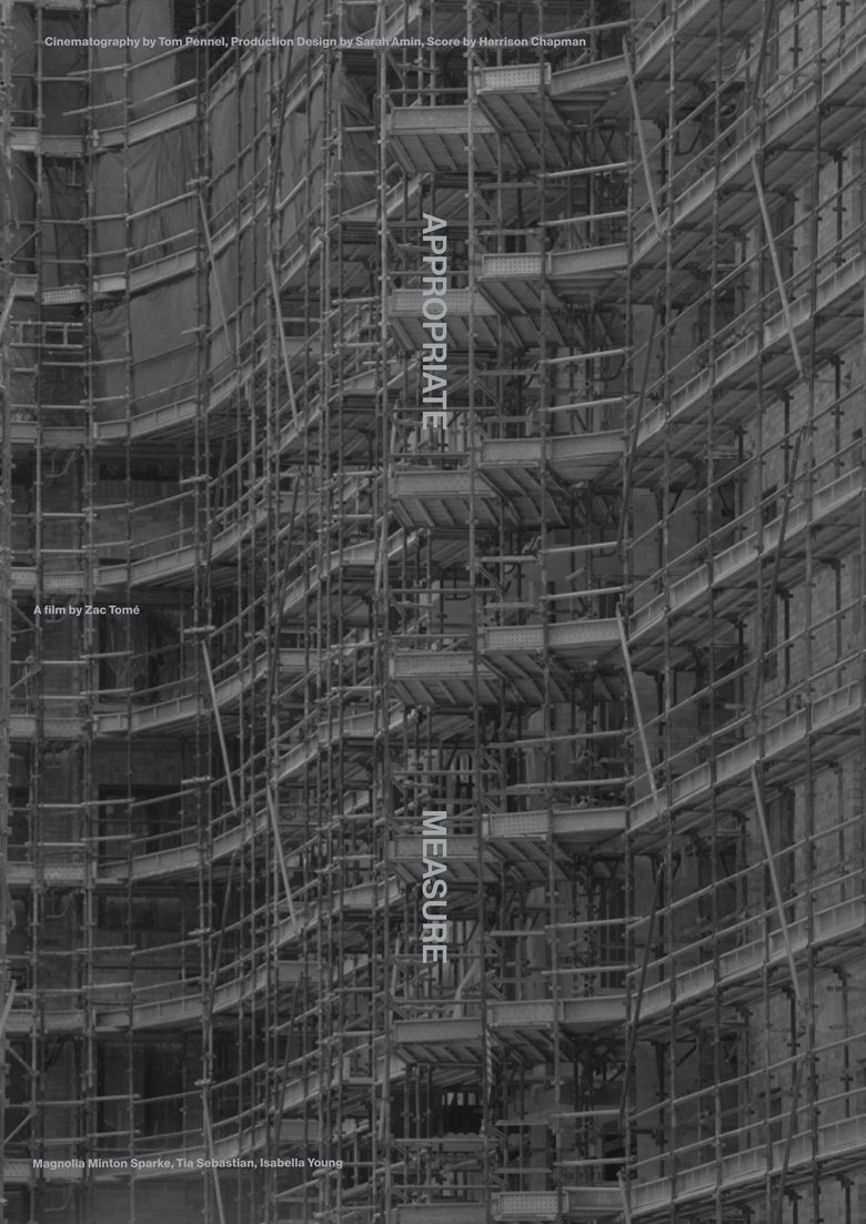 Poster of Appropriate Measure
