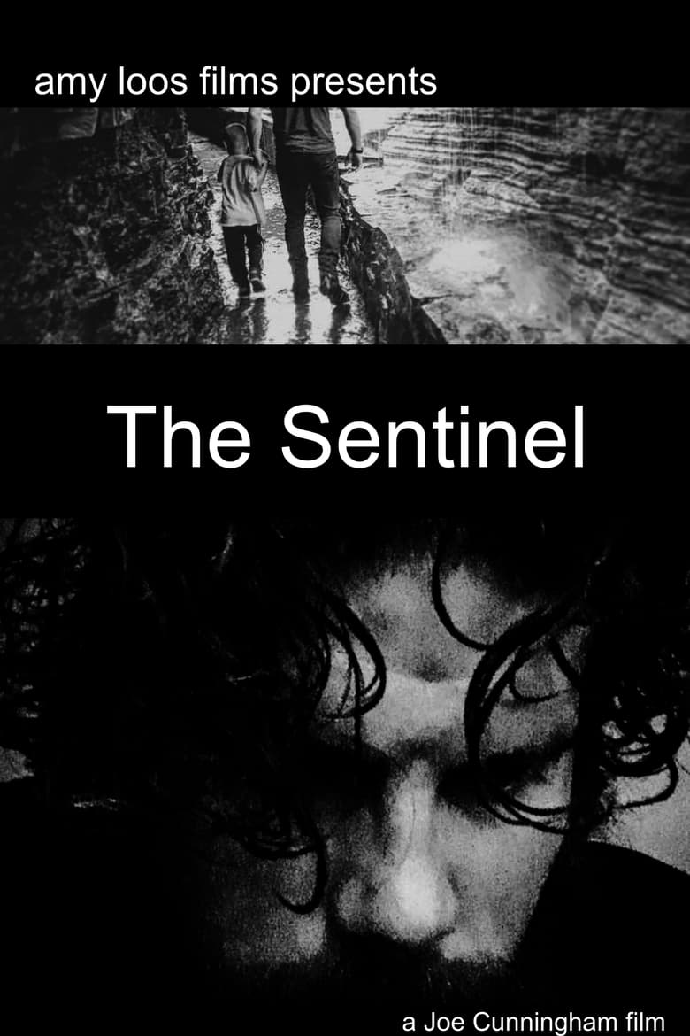 Poster of The Sentinel