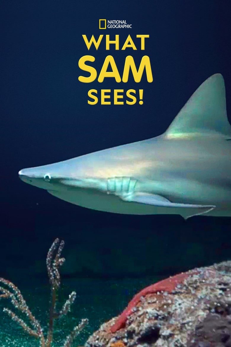 Poster of Cast and Crew in What Sam Sees - Season 1 - Episode 11 - Finding The Giant Goliath Grouper