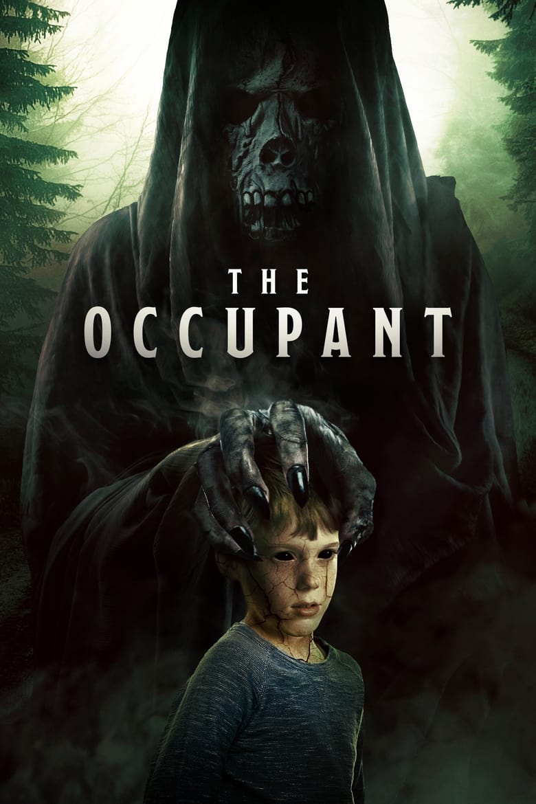 Poster of The Occupant