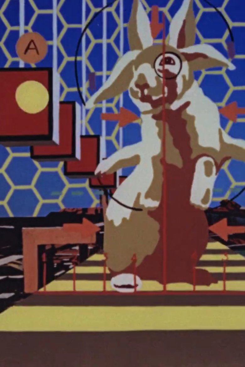 Poster of The Rabbit