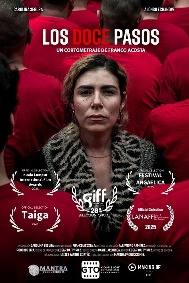 Poster of Los doce pasos