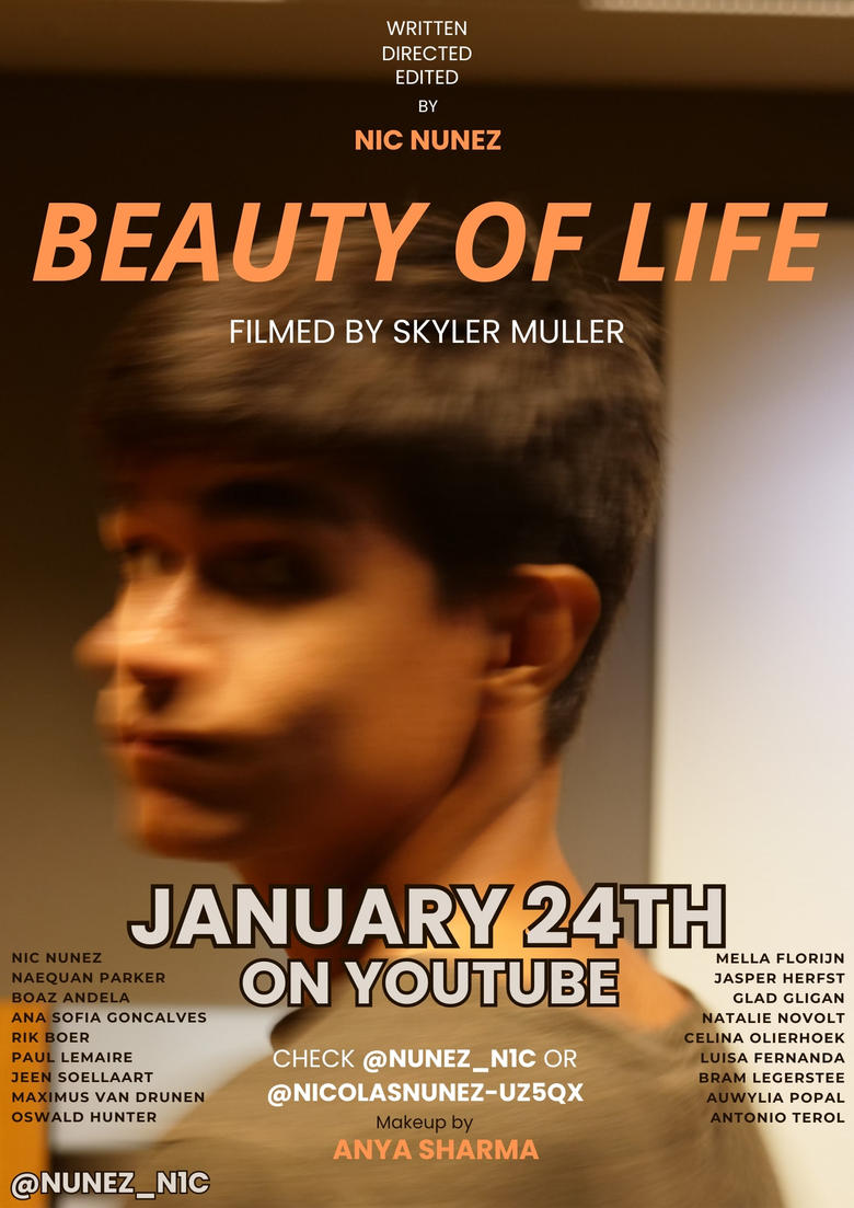 Poster of Beauty of Life