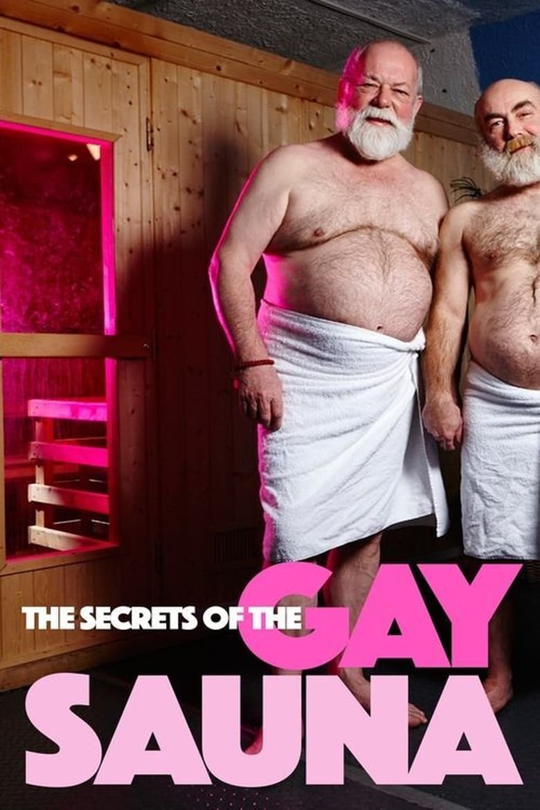 Poster of Secrets of the Gay Sauna