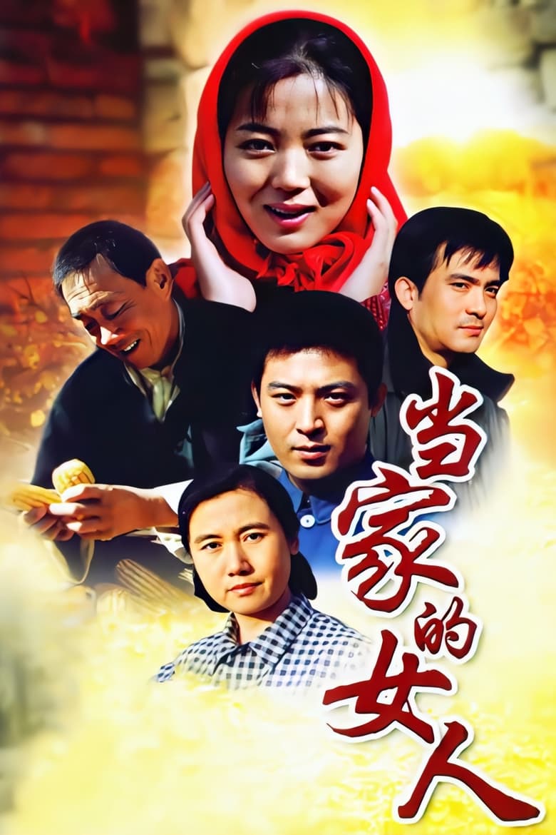 Poster of 当家的女人