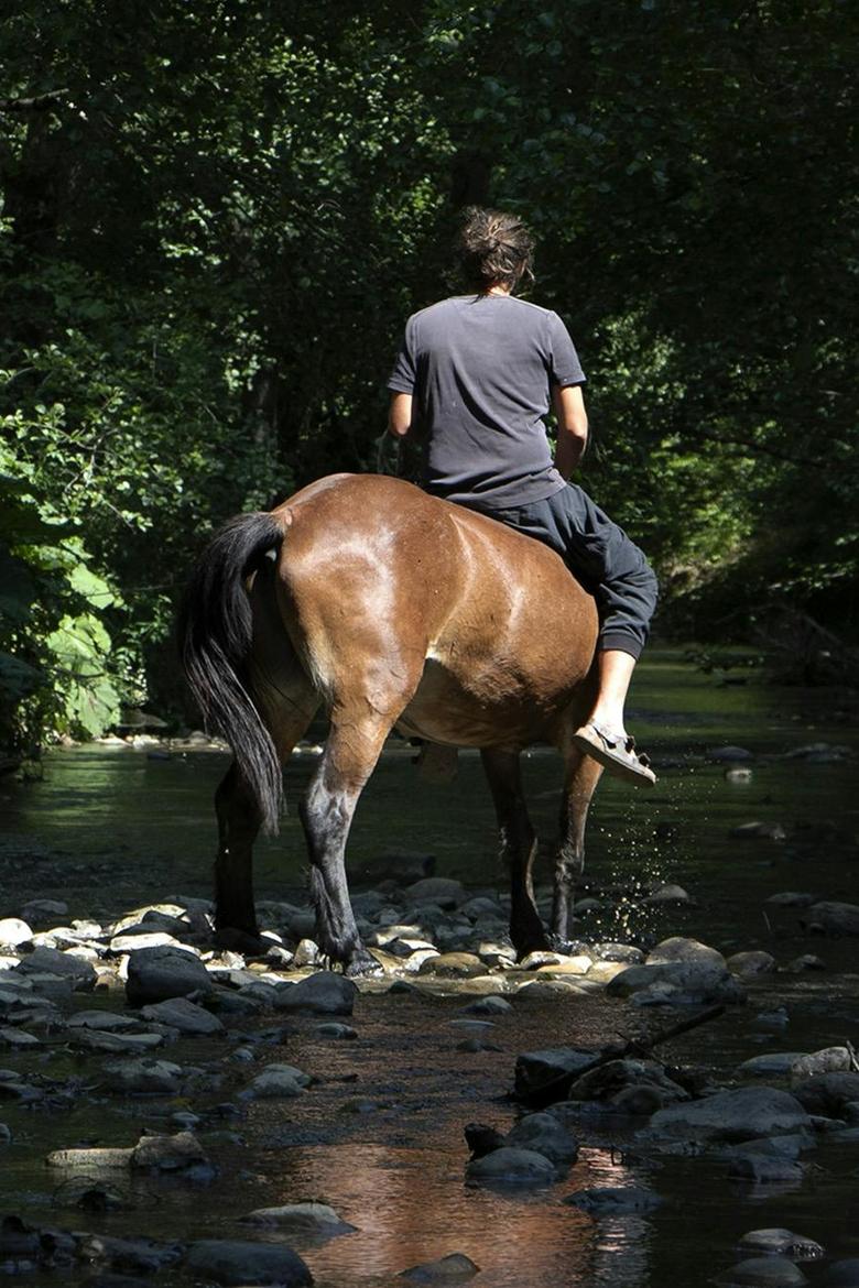 Poster of The Boy from the River Drina