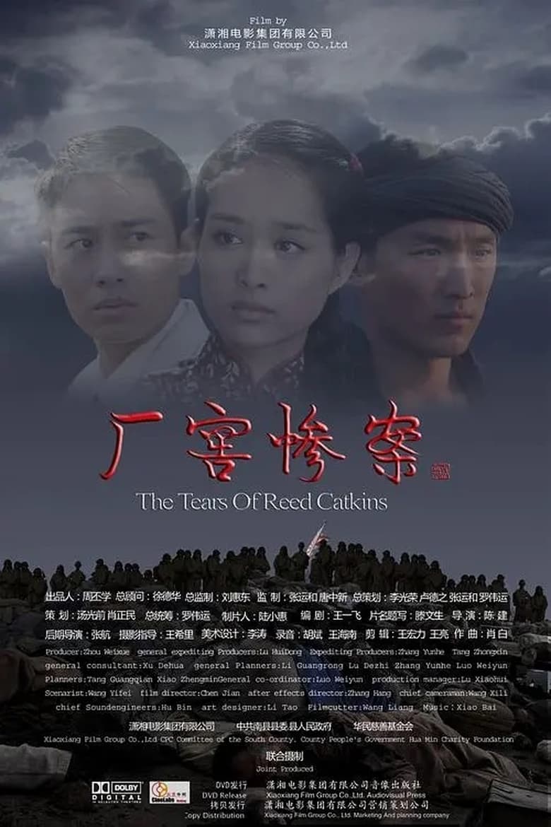 Poster of 厂窖惨案