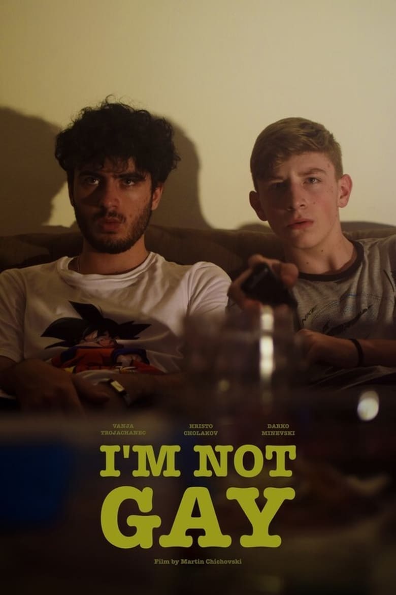 Poster of I’m Not Gay