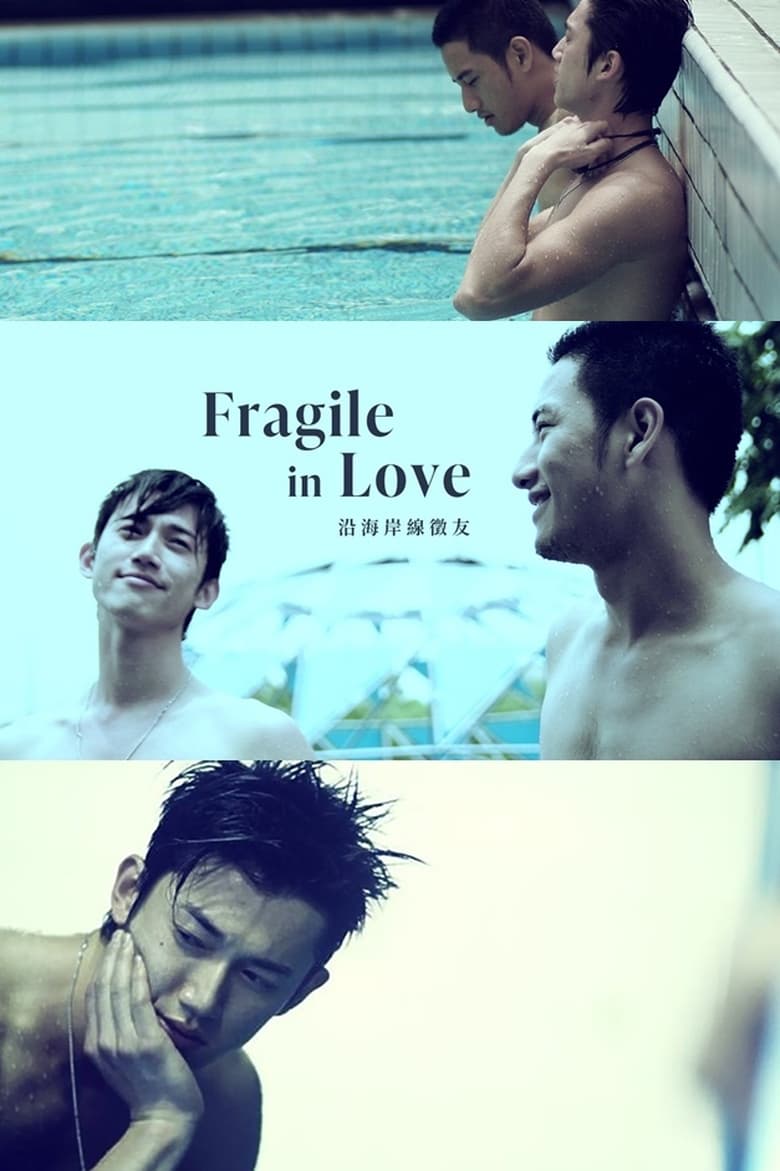 Poster of Fragile in Love