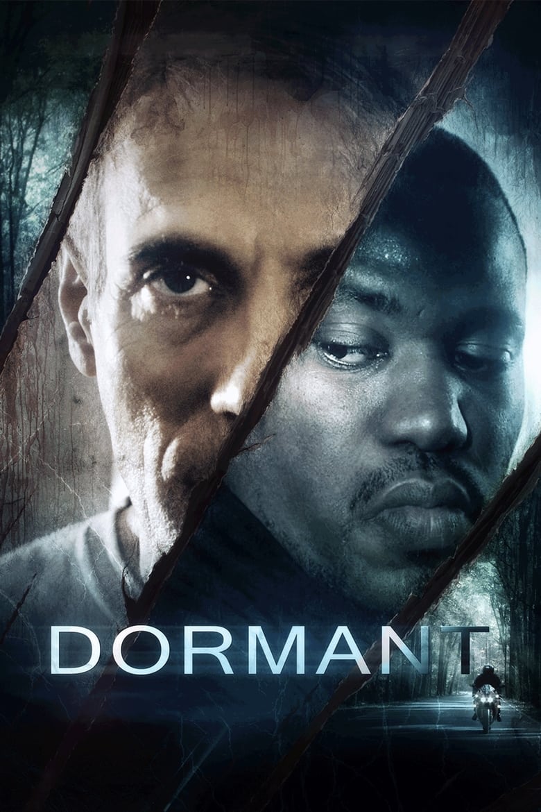 Poster of Dormant