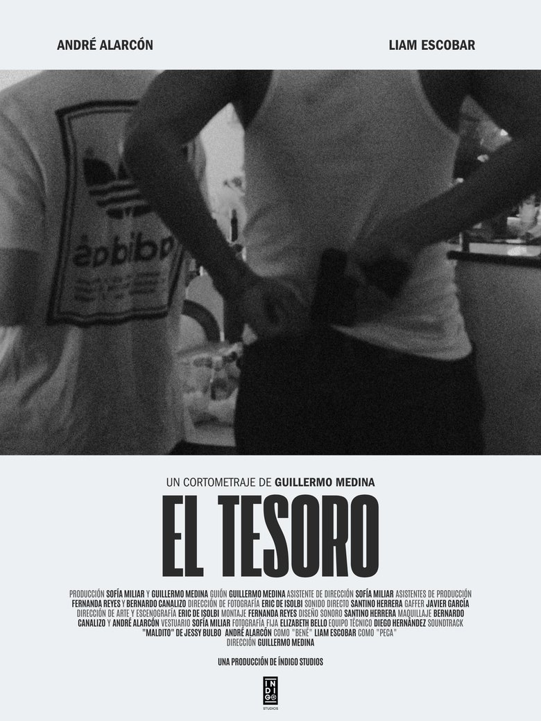 Poster of El Tesoro