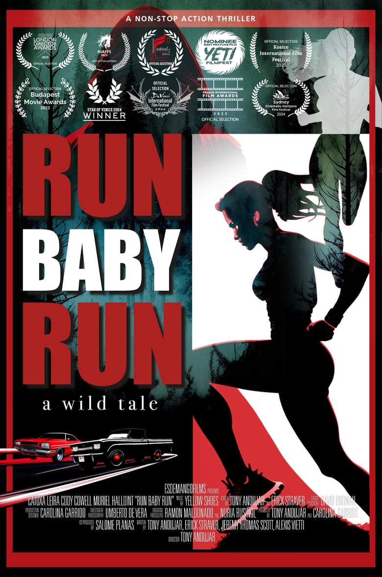 Poster of Run Baby Run