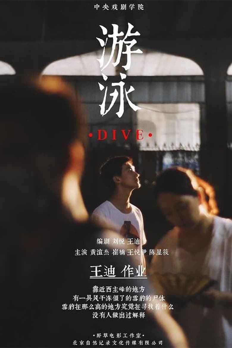 Poster of Dive