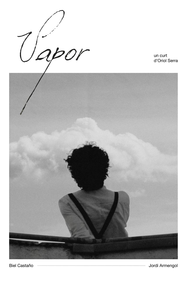 Poster of Vapor