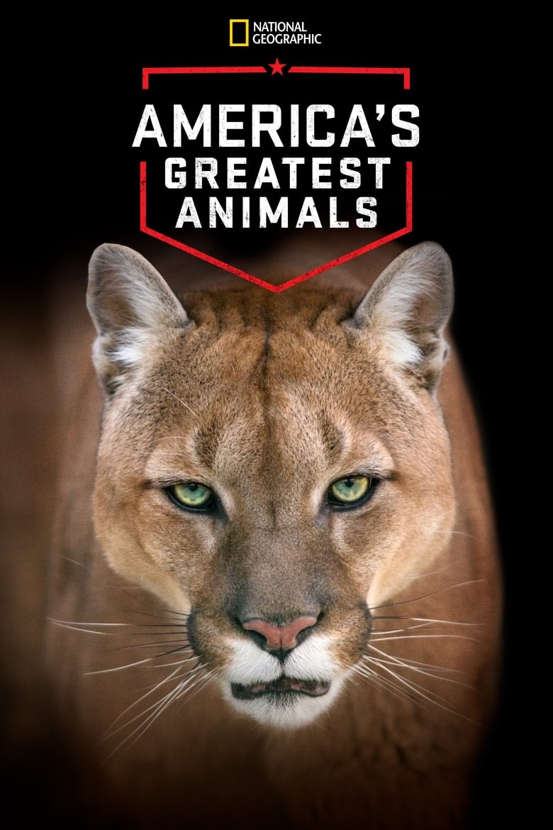 Poster of America's Greatest Animals