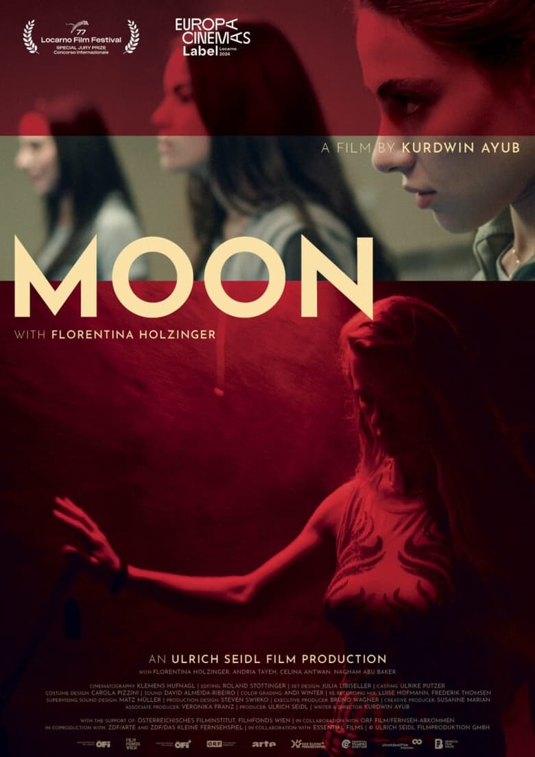 Poster of Moon