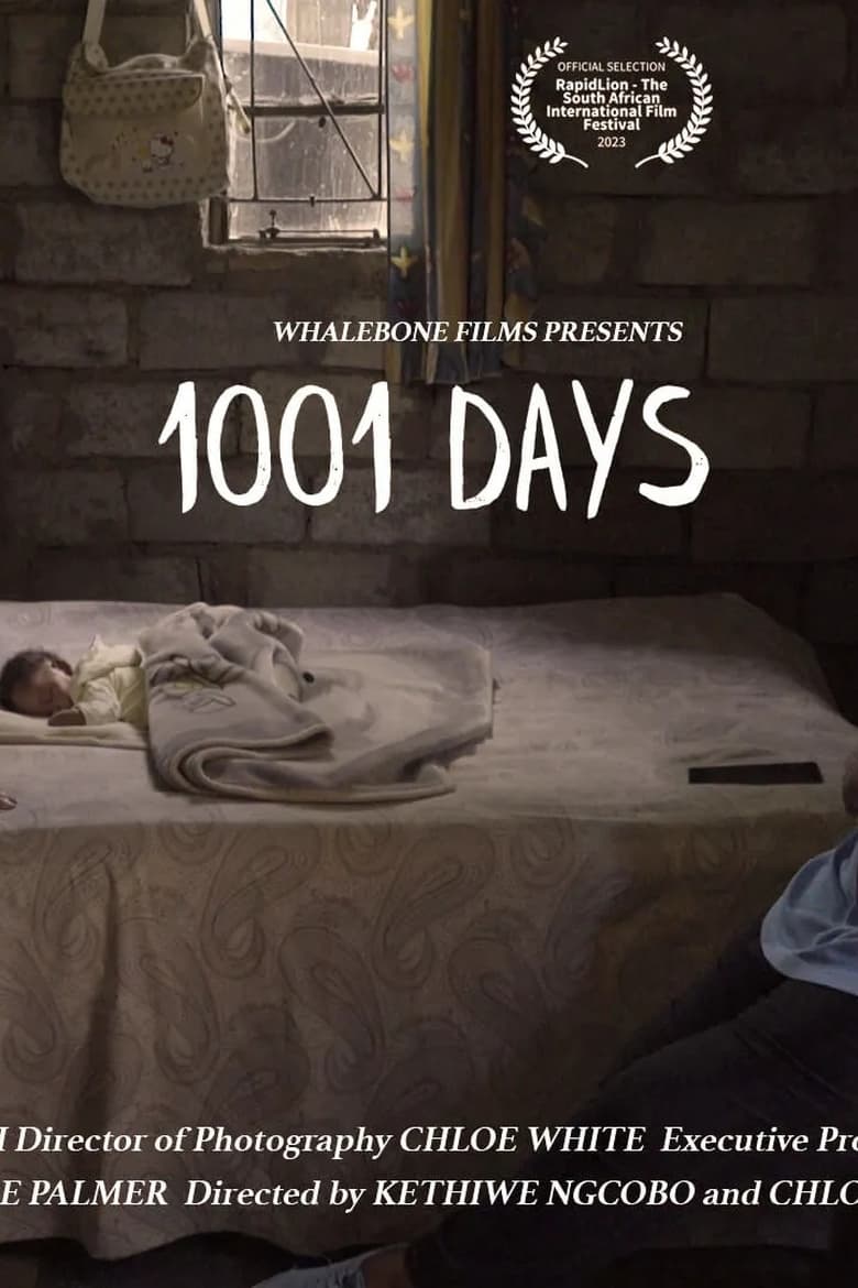 Poster of 1001 Days