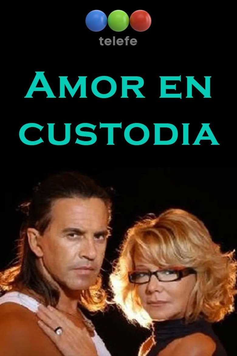 Poster of Amor en custodia