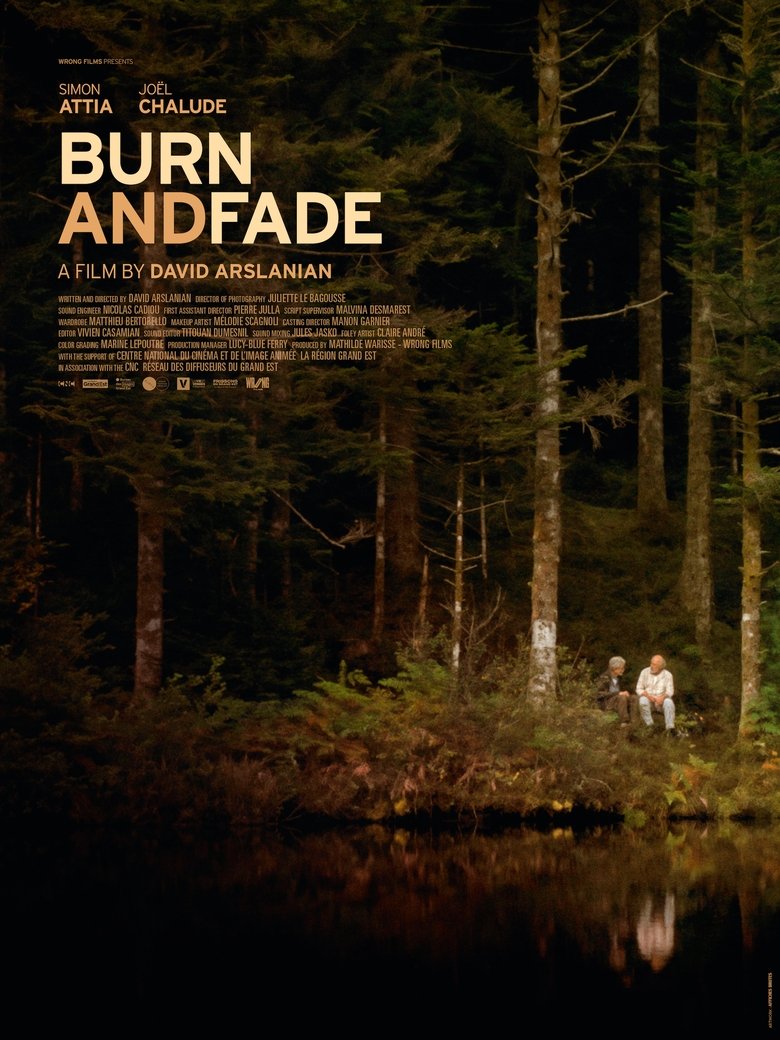 Poster of Burn and Fade