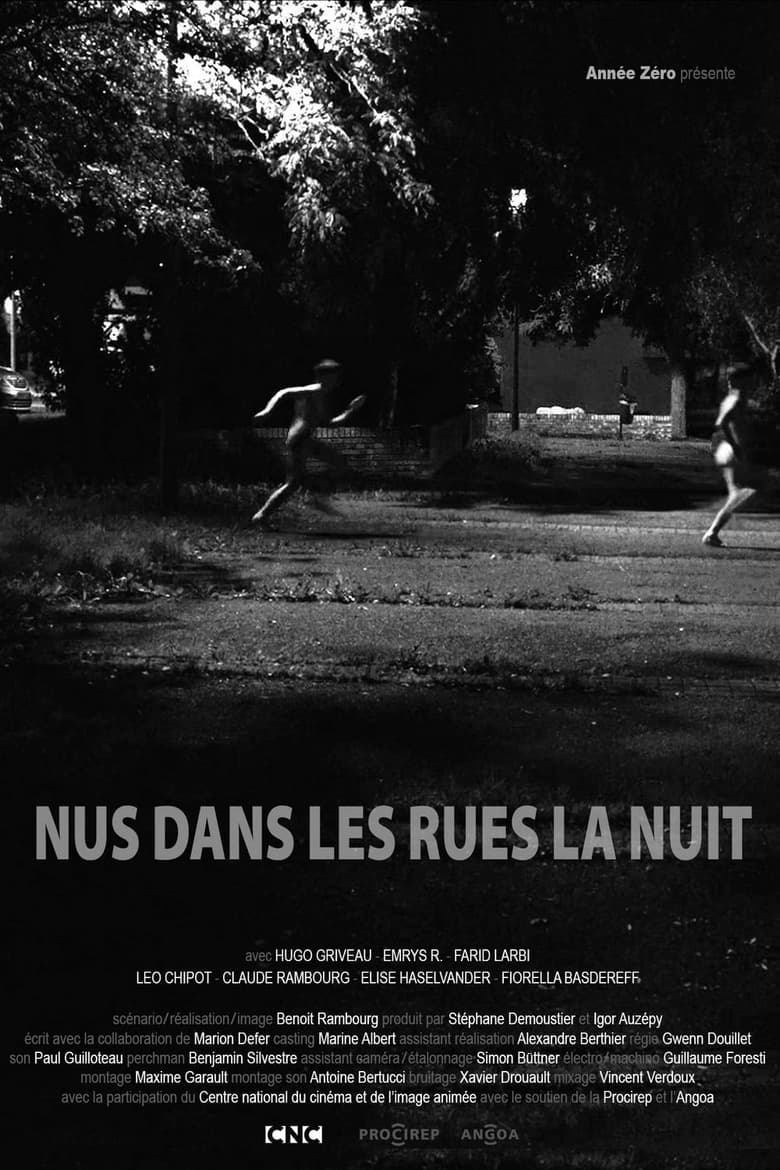 Poster of Naked in the Streets at Night