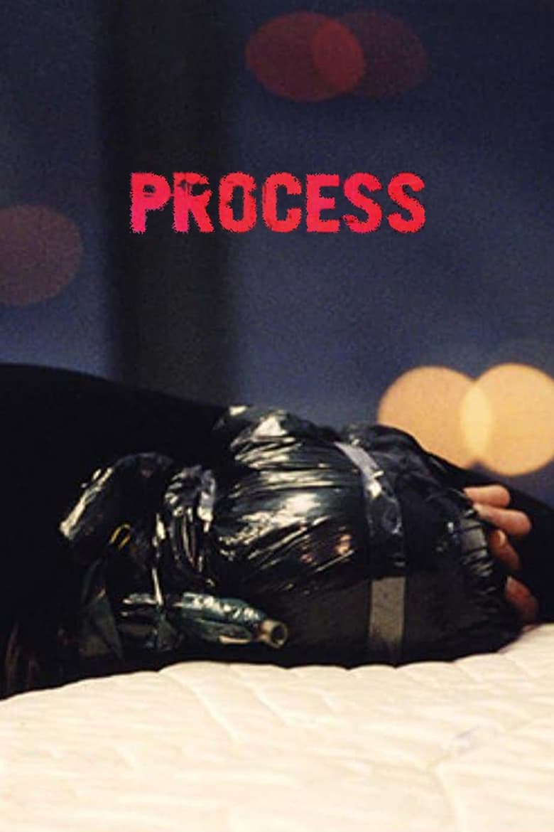 Poster of Process