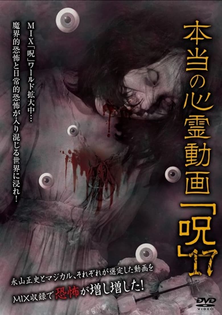 Poster of Hontō no Shinrei Dōga 'Noroi' 17