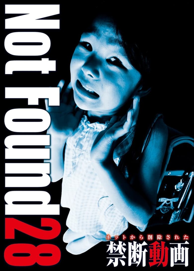 Poster of Not Found 28