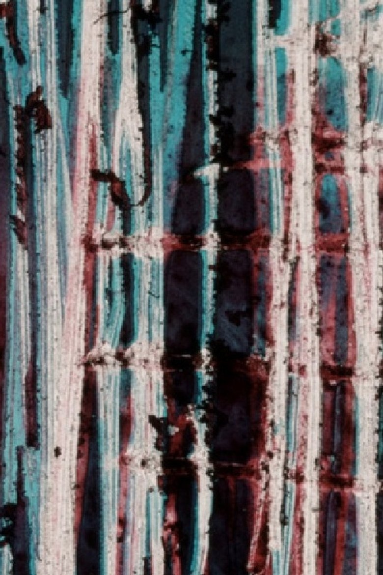 Poster of Everything Is Spinning