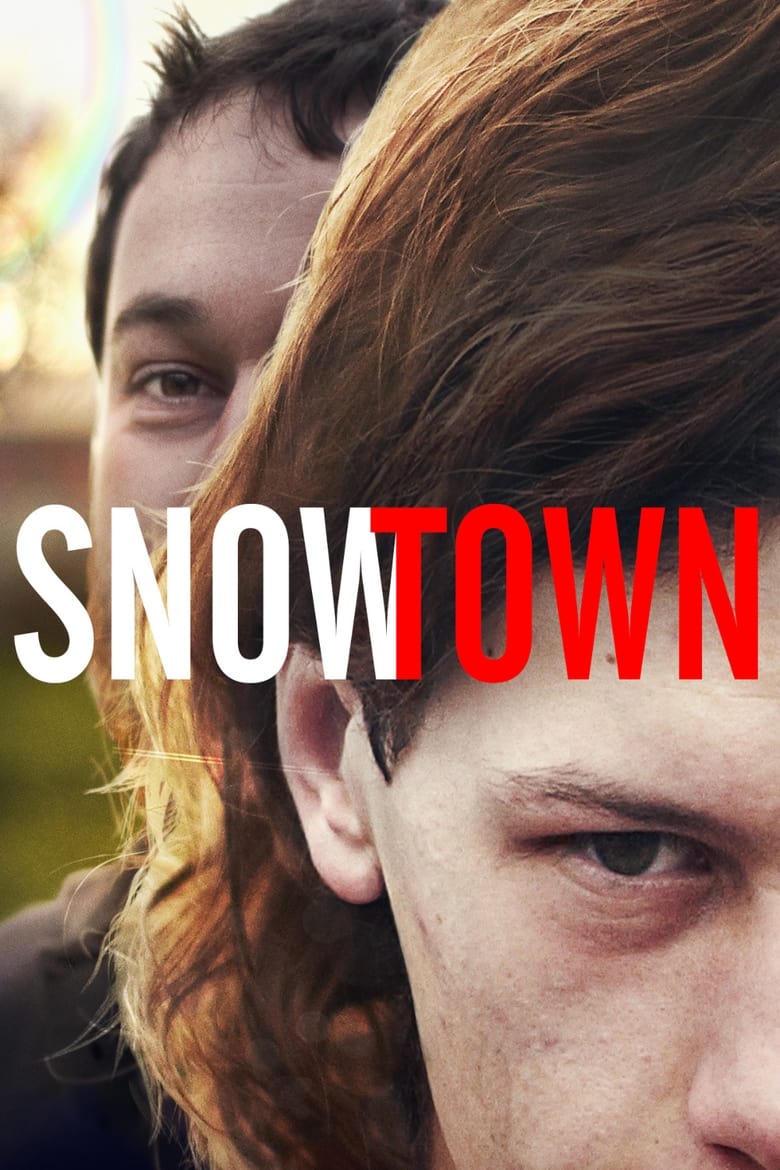 Poster of Snowtown