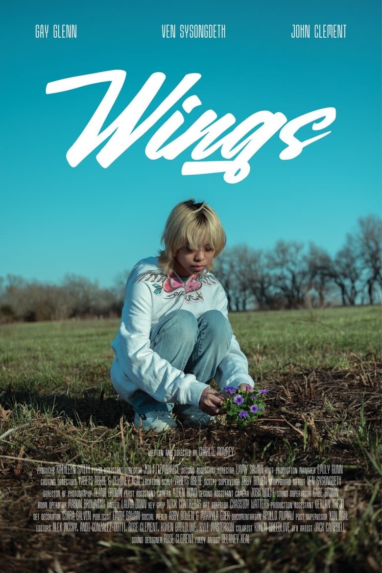 Poster of Wings