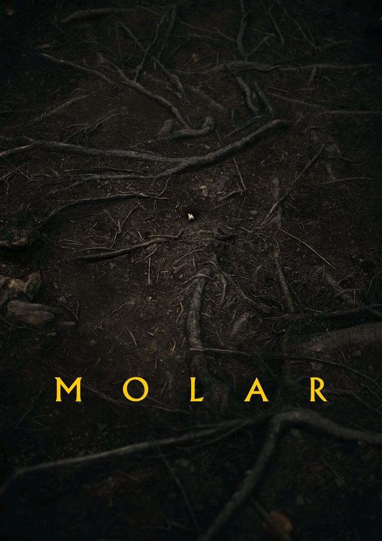 Poster of Molar