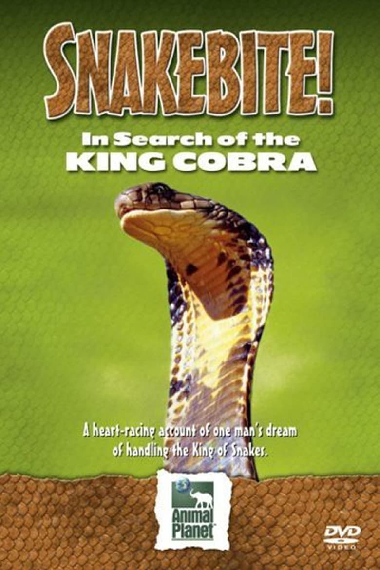 Poster of Snake Bite: In Search of the King Cobra