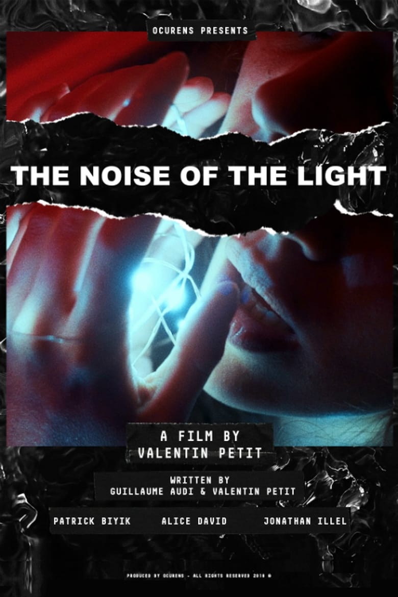 Poster of The Noise of the Light