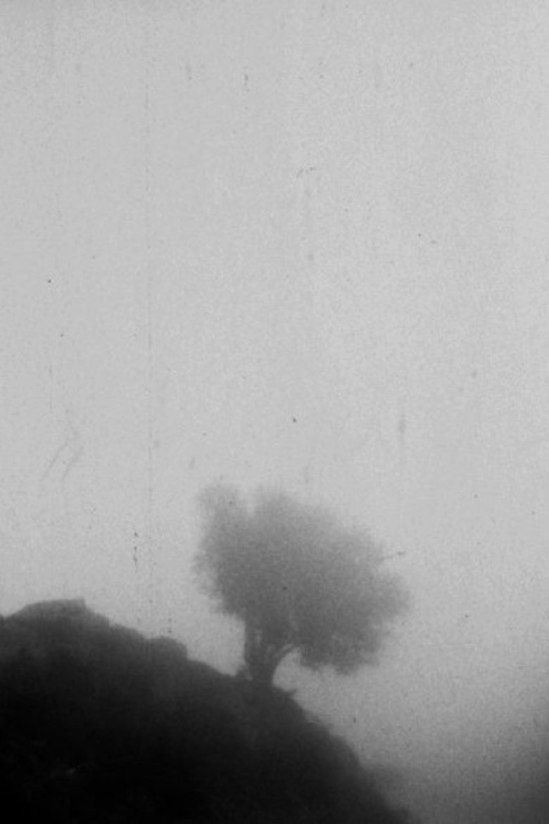 Poster of Only If You Could See a View Above the Clouds